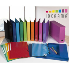 Organ folder Harmonica 12 compartments - Iderama - Light blue