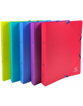 Ring binder 2 rings 30mm Fizz - A4 Maxi sorted colors
