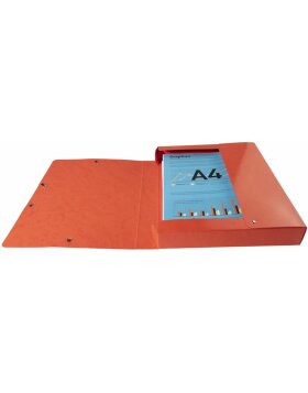 Archivbox Colorspan-Karton Rücken 40mm mit Etikett DIN A4 Iderama Rot