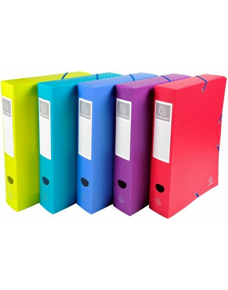 Archivbox aus PP mit Druckknopf R&uuml;cken 60mm Fizz A4 Farben sortiert