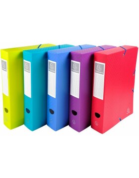 Archivbox aus PP mit Druckknopf Rücken 60mm Fizz A4 Farben sortiert