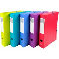 Archivbox aus PP mit Druckknopf Rücken 60mm Fizz A4 Farben sortiert