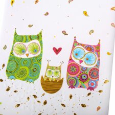 Baby diary owl family