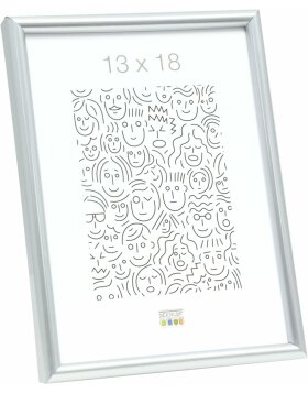 Deknudt marco de plástico S011 acero 40x50 cm