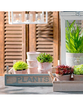 plant pot 63068 - wood 10x9 cm - 33x24x12 cm