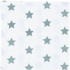 CATCH A STAR cloth napkin 6 pieces 40x40 cm grey-green