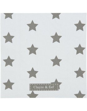 Serviettes en papier CATCH A STAR 20 pcs. 33x33 cm taupe-blanc