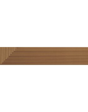 Phoenix 20x30 cm cornice di legno dorata