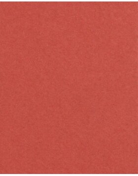 HNFD 20 divisori per scatole fotografiche Rosso Veneziano...