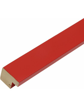 Holzrahmen S45S rot 20,0 x30,0 cm