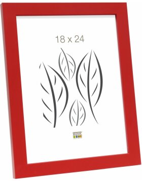 Marco de madera S45S rojo 62,0 x93,0 cm