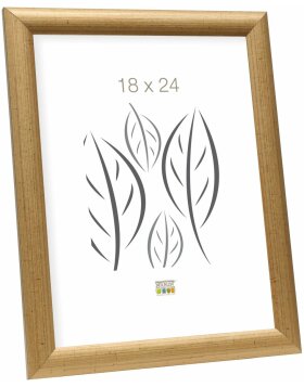 Cornice S40CA2 legno oro 10,0 x15,0 cm