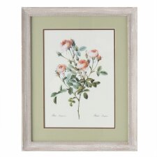 Picture with frame - 63878 Clayre Eef natural/grey 41x51x2 cm