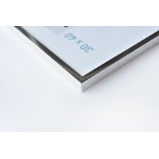 Marco de aluminio C2 plata 33x95 cm