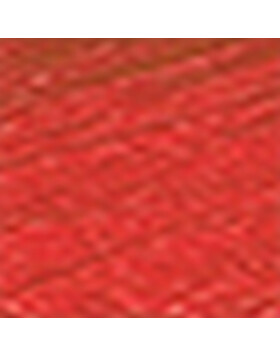 Marco de aluminio C2 rojo tornado 50x100 cm