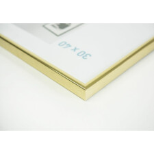 Aluminum frame Classic 35x100 cm gold