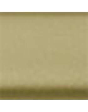 Aluminum frame Classic 70x100 cm frosted gold