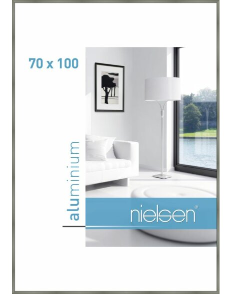 Telaio Nielsen in alluminio Classic platinum 70x100 cm