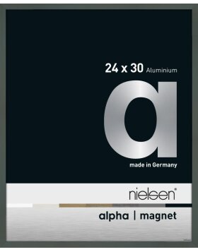 Nielsen Aluminium Bilderrahmen Alpha Magnet, 24x30 cm, Platin