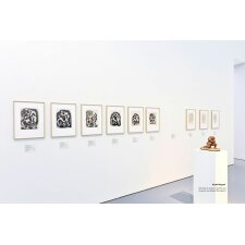 Nielsen Aluminium Fotolijst Alpha Magneet, 30x40 cm, Wengé Licht