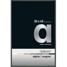 Cornice Nielsen in alluminio Alpha Magnet, 30x45 cm, platino