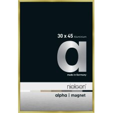 Nielsen Aluminum Photo Frame Alpha Magnet, 30x45 cm brushed gold