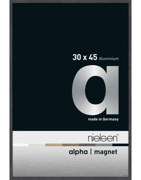 Cornice in alluminio Nielsen Alpha Magnet, 30x45 cm, grigio