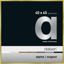 Nielsen Aluminium Bilderrahmen Alpha Magnet, 40x40 cm, Brushed Gold