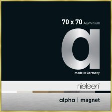 Cornice in alluminio Nielsen Alpha Magnet, 70x70 cm, oro spazzolato