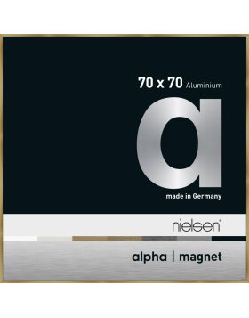 Cornice Nielsen in alluminio Alpha Magnet, 70x70 cm, ambra spazzolata