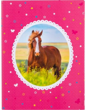 Caja de folletos A4 Horse Love