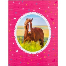Caja de folletos A4 Horse Love