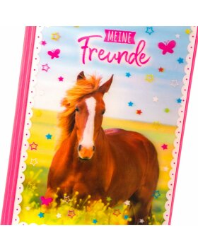 friends book Horse Love
