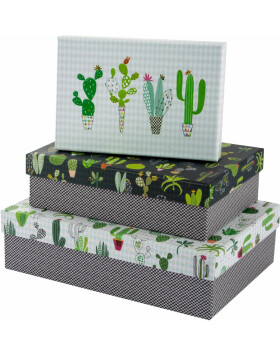 Geschenkkartonage - Set Cactus Collection