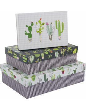 Geschenkkartonage - Set Cactus Collection