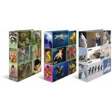 Herma Motif Folder A4 Animales - Animales del bosque