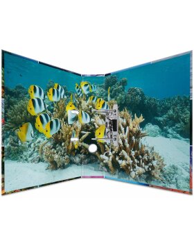 Herma Motif Folder A4 Animales - Animales del mar