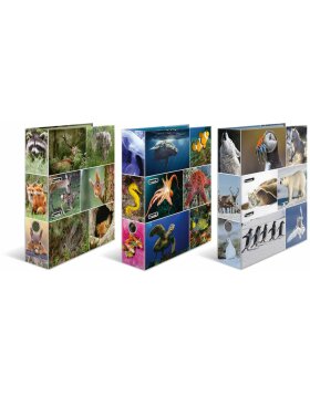 Herma Motif Folder A4 Animales - Animales del mar
