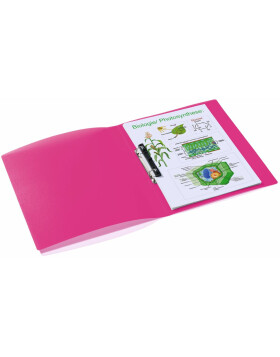 Herma Ringbuch A4 transluzent pink