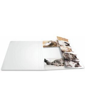 Herma Elasticated folder A4 cardboard cats