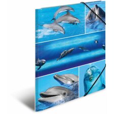 Herma Elasticated folder A4 cardboard dolphins
