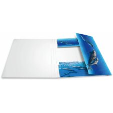Herma folder a4 kartonowe delfiny