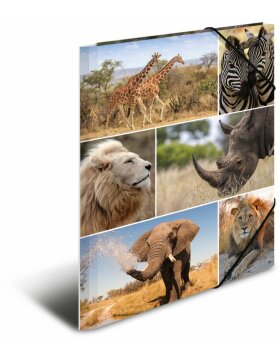 Herma Elasticated folder A4 cardboard africa animals