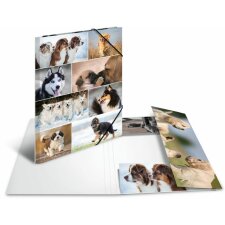 Herma Elasticated folder A3 cardboard dogs