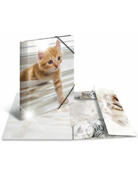 Herma Elasticated folder glossy animals A4 PP cats