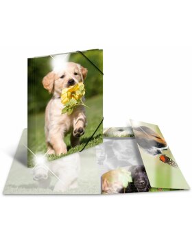 Herma Elasticated folder glossy animals A3 PP dogs