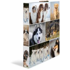 Herma Ring binder A4 cardboard 4D dogs