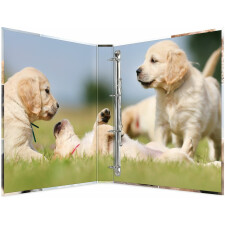 Herma Ring binder A4 cardboard 4D dogs