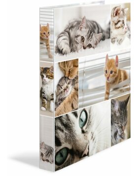 Herma Ring binder A4 cardboard 4D cats