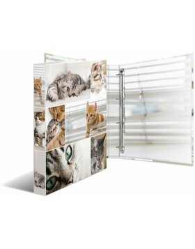 Herma Ring binder A4 cardboard 4D cats